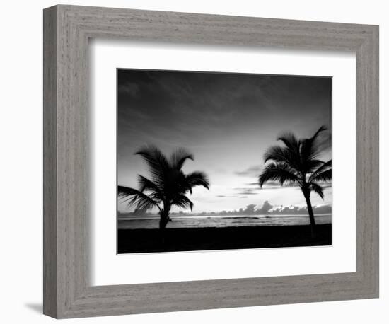 Two Palms BW-John Gusky-Framed Photographic Print