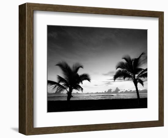 Two Palms BW-John Gusky-Framed Photographic Print