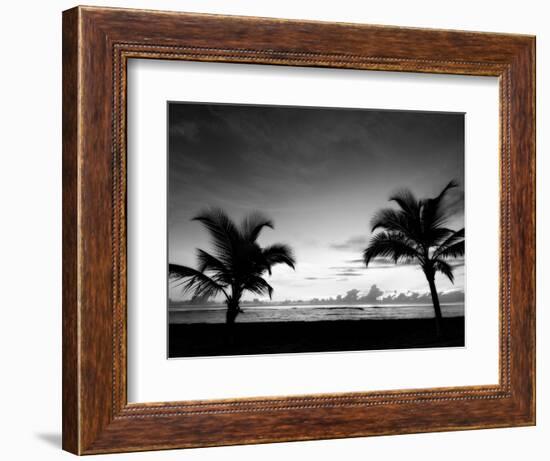 Two Palms BW-John Gusky-Framed Photographic Print