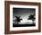 Two Palms BW-John Gusky-Framed Photographic Print