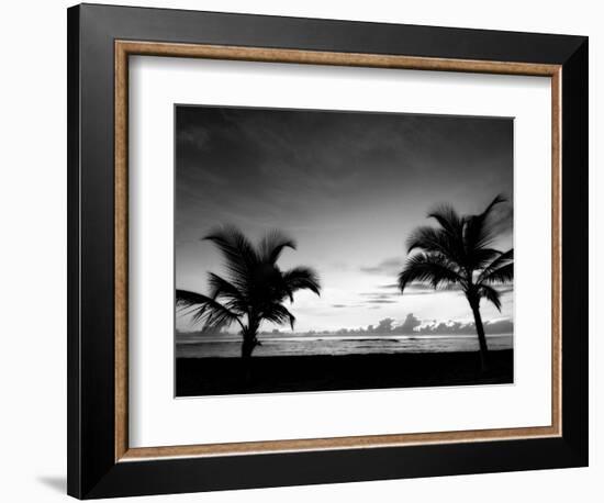 Two Palms BW-John Gusky-Framed Photographic Print