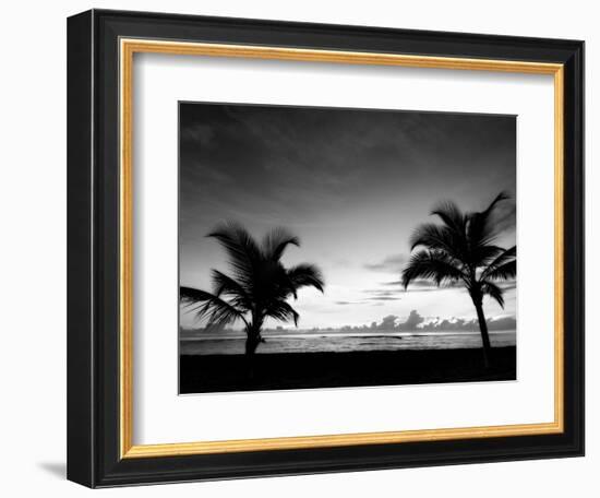 Two Palms BW-John Gusky-Framed Photographic Print