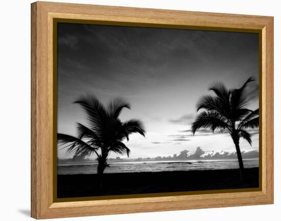 Two Palms BW-John Gusky-Framed Premier Image Canvas