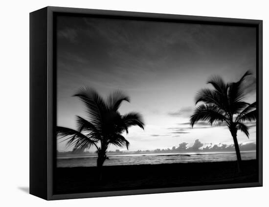 Two Palms BW-John Gusky-Framed Premier Image Canvas