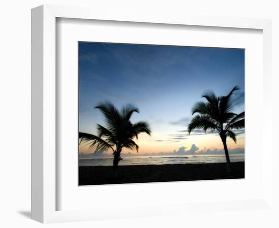 Two Palms-John Gusky-Framed Photographic Print