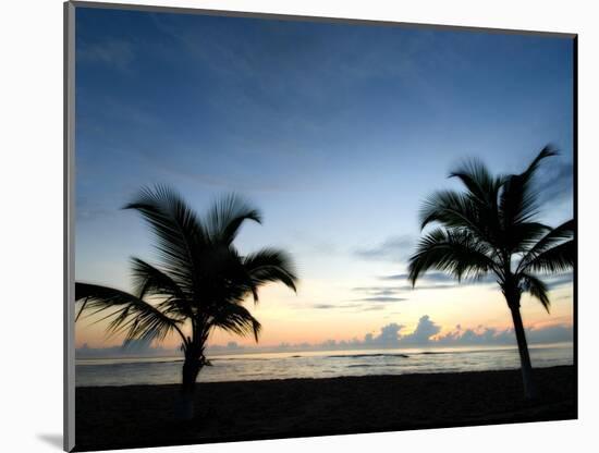 Two Palms-John Gusky-Mounted Photographic Print