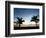 Two Palms-John Gusky-Framed Photographic Print