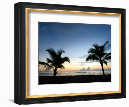 Two Palms-John Gusky-Framed Photographic Print