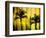 Two Palms-Andrew Michaels-Framed Photographic Print