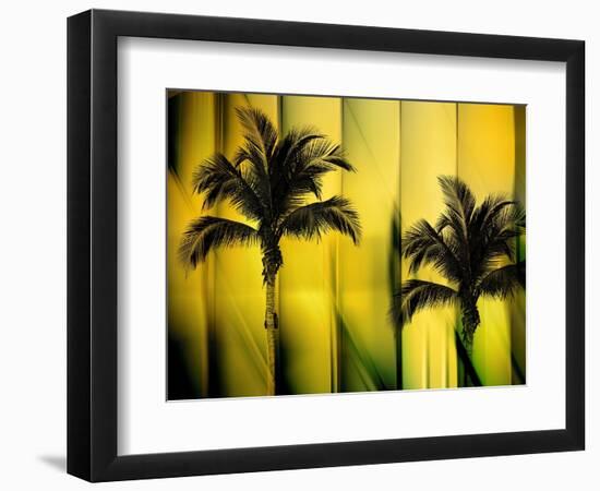 Two Palms-Andrew Michaels-Framed Photographic Print