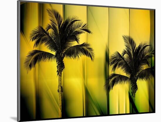 Two Palms-Andrew Michaels-Mounted Photographic Print