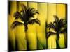 Two Palms-Andrew Michaels-Mounted Photographic Print