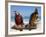 Two Parrots, Bavaro Beach, Punta Cana, Dominican Republic, West Indies, Caribbean, Central America-Frank Fell-Framed Photographic Print