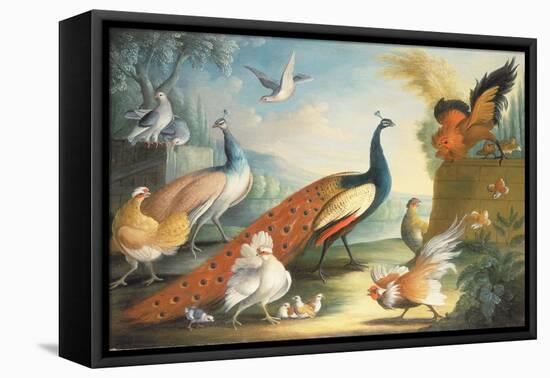 Two Peacocks, Doves, Chickens and a Rooster in a Parkland-Marmaduke Cradock-Framed Premier Image Canvas
