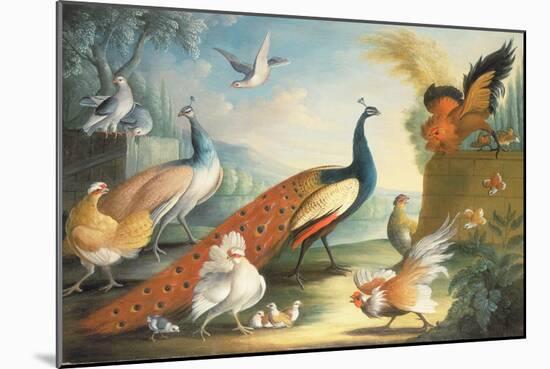 Two Peacocks, Doves, Chickens and a Rooster in a Parkland-Marmaduke Cradock-Mounted Giclee Print