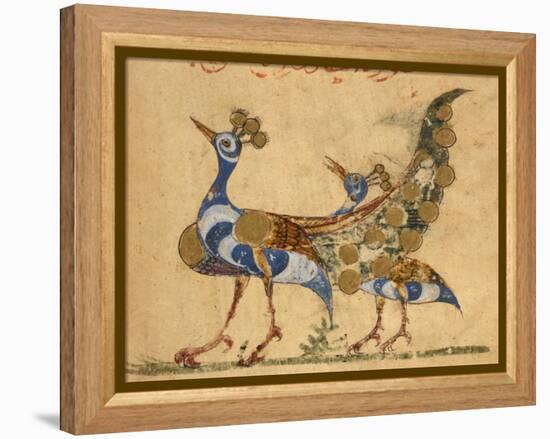 Two Peacocks-Aristotle ibn Bakhtishu-Framed Premier Image Canvas