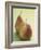Two Pears on a Green Background-null-Framed Photographic Print