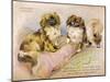 Two Pekingese Dogs and a Pink Cushion-null-Mounted Art Print