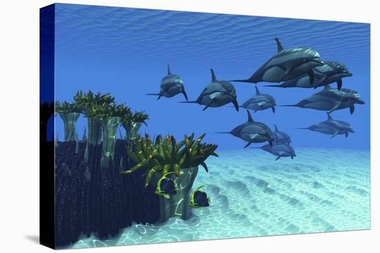 Stretched Canvas Print, , large