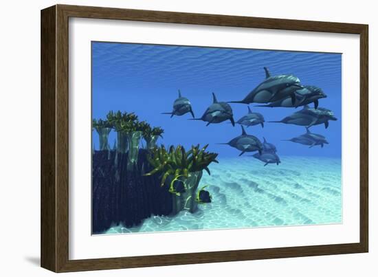 Two Pennant Fish Scamper Away from a Pod of Striped Dolphins-null-Framed Art Print