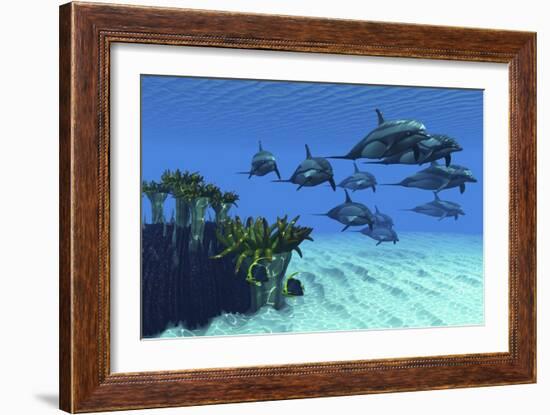 Two Pennant Fish Scamper Away from a Pod of Striped Dolphins-null-Framed Art Print