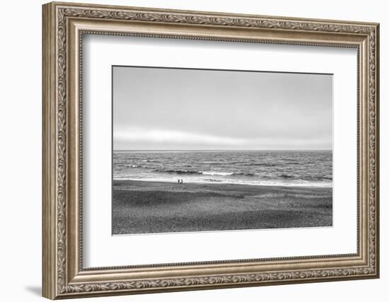 Two people and dog on beach at Point Reyes National Seashore, California, USA-Panoramic Images-Framed Photographic Print