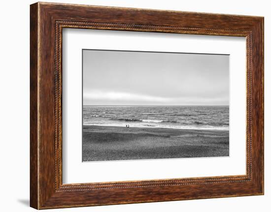 Two people and dog on beach at Point Reyes National Seashore, California, USA-Panoramic Images-Framed Photographic Print