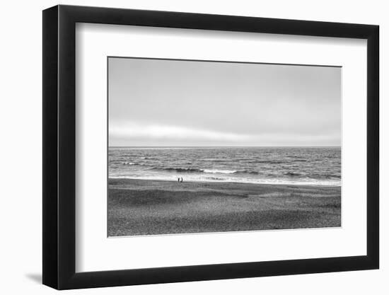 Two people and dog on beach at Point Reyes National Seashore, California, USA-Panoramic Images-Framed Photographic Print