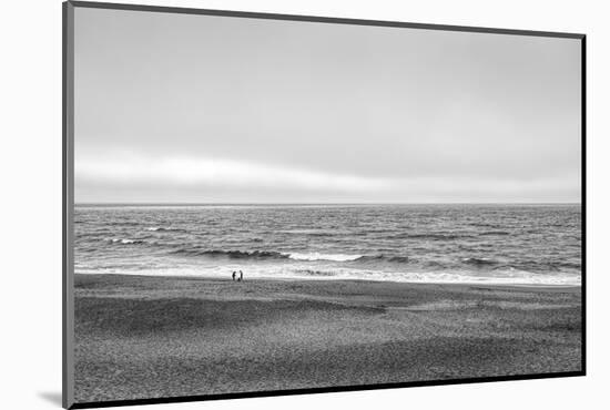 Two people and dog on beach at Point Reyes National Seashore, California, USA-Panoramic Images-Mounted Photographic Print