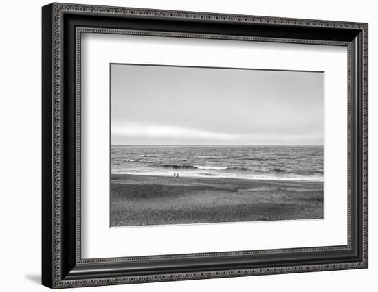 Two people and dog on beach at Point Reyes National Seashore, California, USA-Panoramic Images-Framed Photographic Print