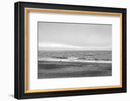 Two people and dog on beach at Point Reyes National Seashore, California, USA-Panoramic Images-Framed Photographic Print