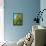 Two Pine Trees-Blenda Tyvoll-Framed Stretched Canvas displayed on a wall