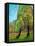 Two Pine Trees-Blenda Tyvoll-Framed Stretched Canvas