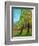 Two Pine Trees-Blenda Tyvoll-Framed Art Print