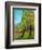 Two Pine Trees-Blenda Tyvoll-Framed Art Print