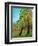 Two Pine Trees-Blenda Tyvoll-Framed Art Print