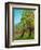 Two Pine Trees-Blenda Tyvoll-Framed Art Print