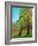 Two Pine Trees-Blenda Tyvoll-Framed Art Print