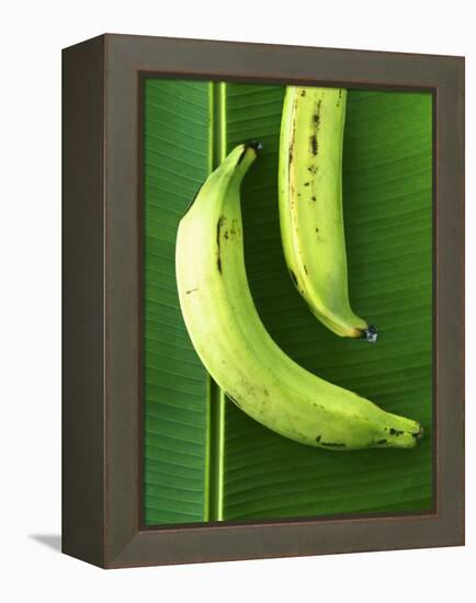 Two Plantains on a Banana Leaf-Armin Zogbaum-Framed Premier Image Canvas