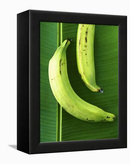 Two Plantains on a Banana Leaf-Armin Zogbaum-Framed Premier Image Canvas