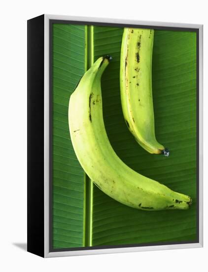 Two Plantains on a Banana Leaf-Armin Zogbaum-Framed Premier Image Canvas