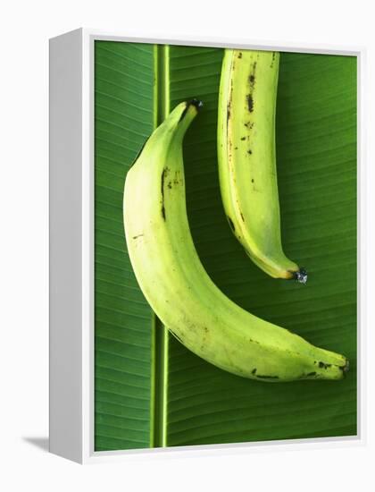 Two Plantains on a Banana Leaf-Armin Zogbaum-Framed Premier Image Canvas