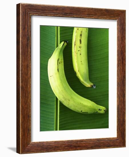 Two Plantains on a Banana Leaf-Armin Zogbaum-Framed Photographic Print