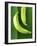 Two Plantains on a Banana Leaf-Armin Zogbaum-Framed Photographic Print