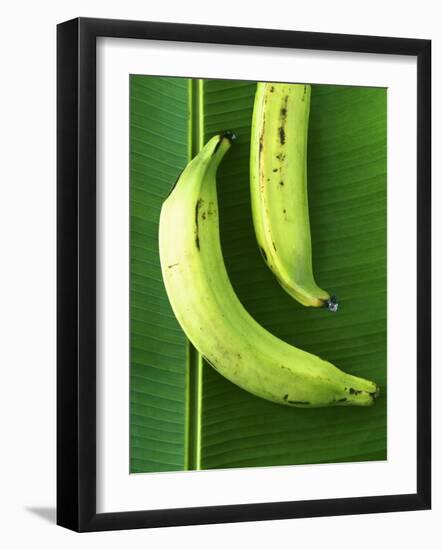 Two Plantains on a Banana Leaf-Armin Zogbaum-Framed Photographic Print