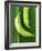 Two Plantains on a Banana Leaf-Armin Zogbaum-Framed Photographic Print