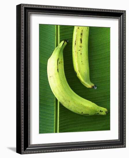 Two Plantains on a Banana Leaf-Armin Zogbaum-Framed Photographic Print