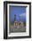 Two Playful Giraffes-DLILLC-Framed Photographic Print