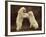 Two Polar Bears Play Fighting, Churchill, Hudson Bay, Canada-Inaki Relanzon-Framed Photographic Print