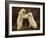 Two Polar Bears Play Fighting, Churchill, Hudson Bay, Canada-Inaki Relanzon-Framed Photographic Print